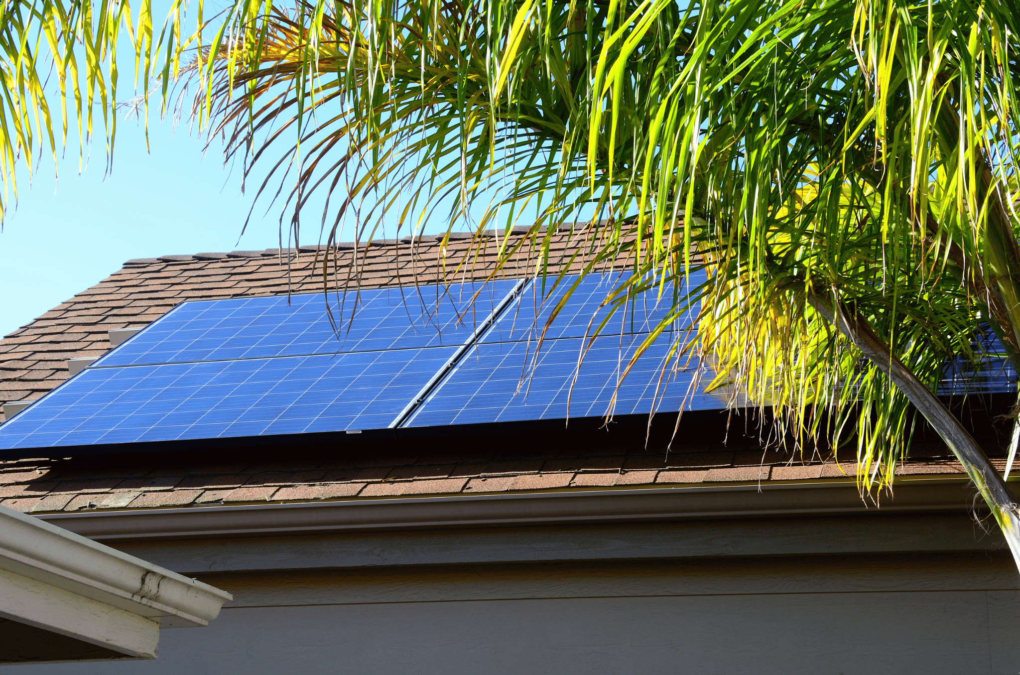 panneaux photovoltaïques