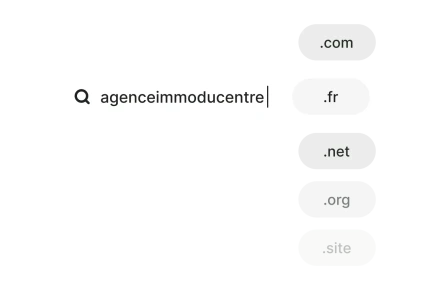 Gestion de l'hébergement du site internet et création nom de domaine